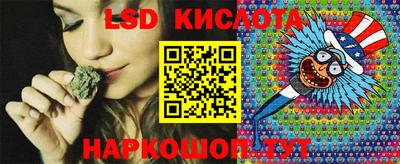 spice Донской