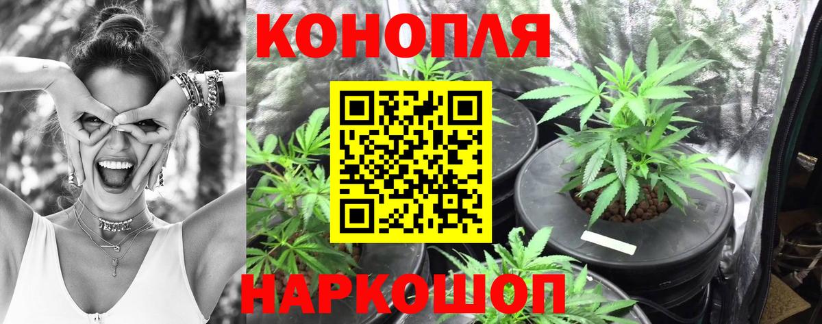Марихуана конопля  Каннабис конопля  Малоярославец  Каннабис LSD WEED  Вход с VPN  Марихуана сатива 